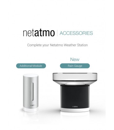 Netatmo Rain Gauge