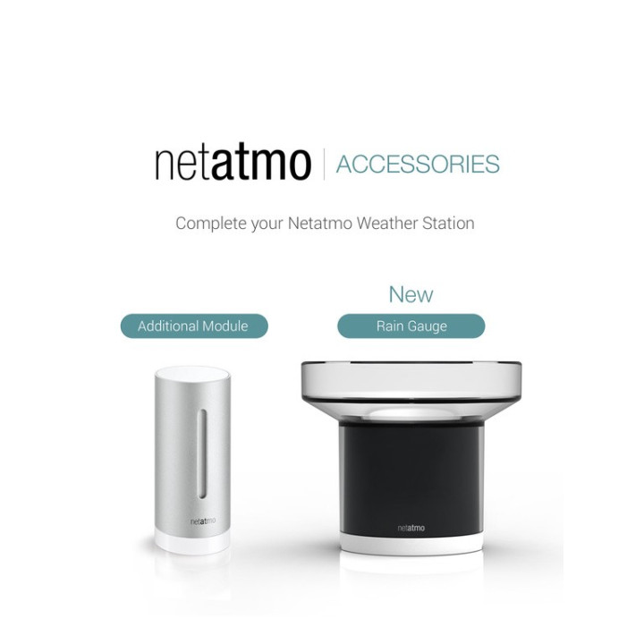 Netatmo Rain Gauge