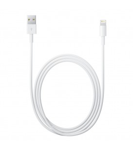 Apple Lightning to USB Cable