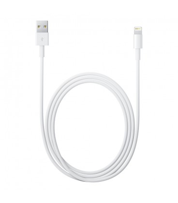 Apple Lightning to USB Cable