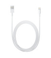 Apple Lightning to USB Cable (2 m)