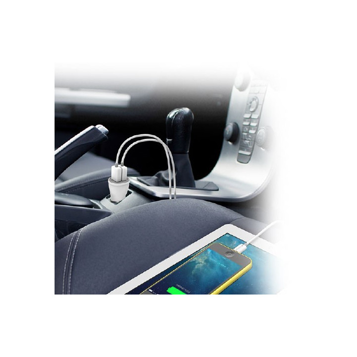Kanex 2-Port Car Charger + 2 Lightning Cables