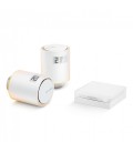 Netatmo Valves Starter Pack