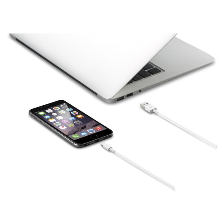 Spigen C10LS USB Lightning cable