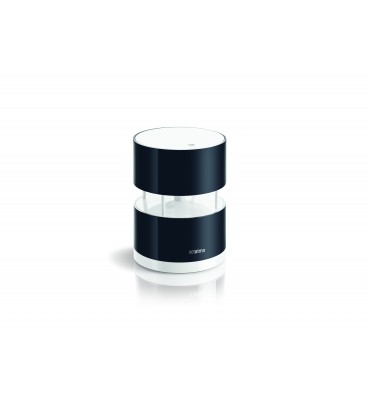 Netatmo Rain Gauge