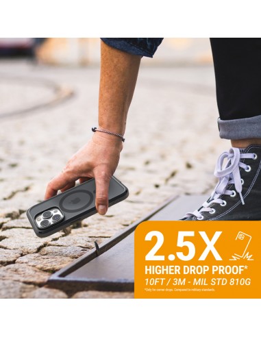 Catalyst Influence MagSafe case...